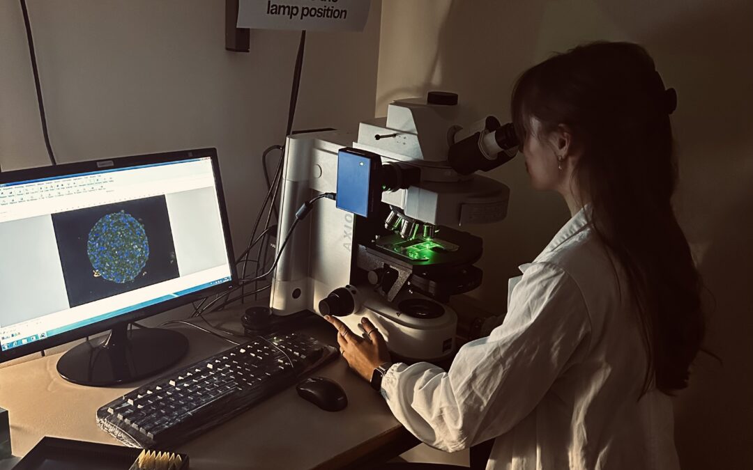 From Piedmont to Porto: Our Master’s Student Explores Tumour Modelling in Portugal