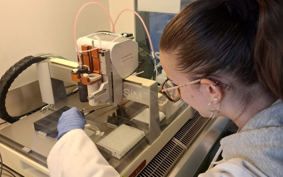 Erasmus Voices: Printing Bones and Brewing Friendships in Erlangen