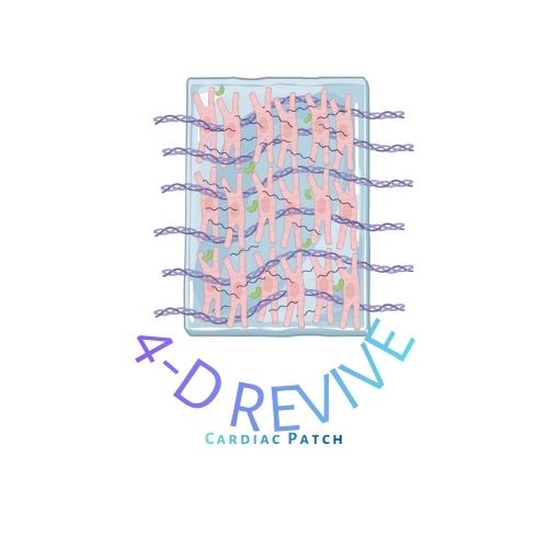 4D-REVIVE